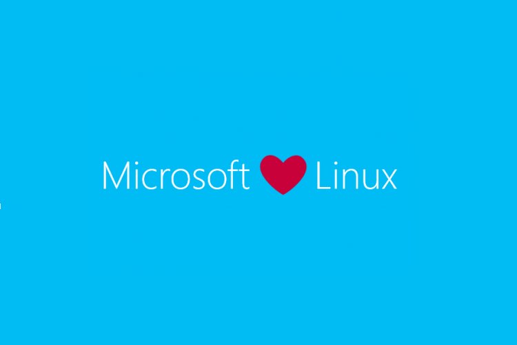 نوشته مایکروسافت به همراه لینوکس